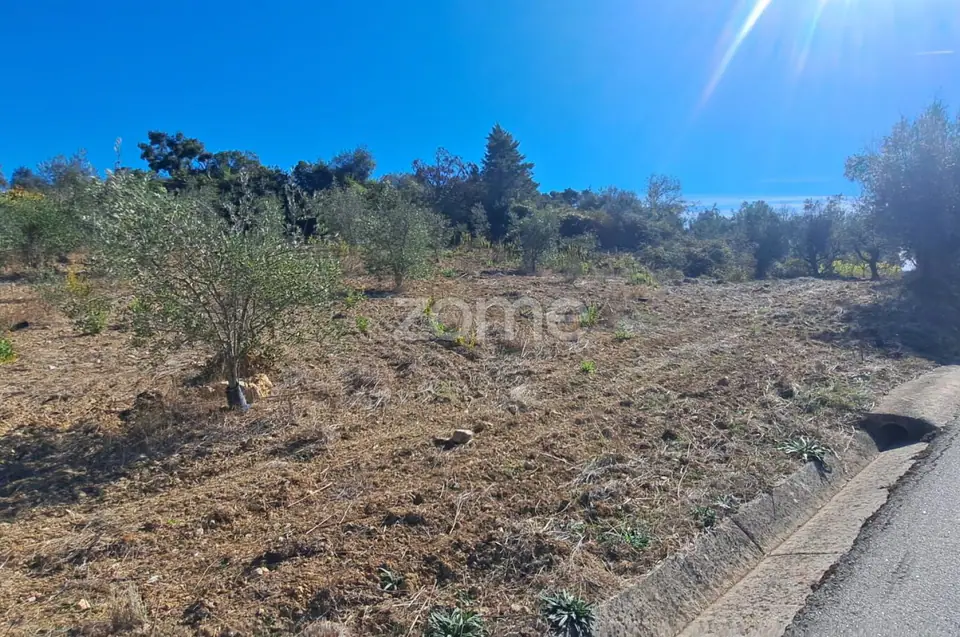 Terreno Rústico com 4.750 m² | EN110 | Almalaguês | Agrícola — imagem 2