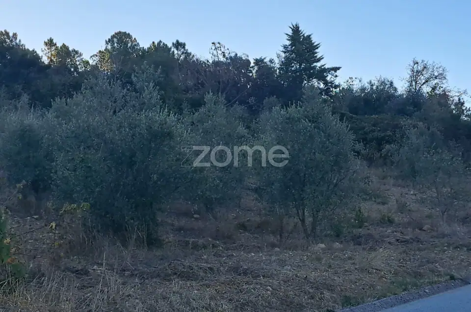 Terreno Rústico com 4.750 m² | EN110 | Almalaguês | Agrícola — imagem 6