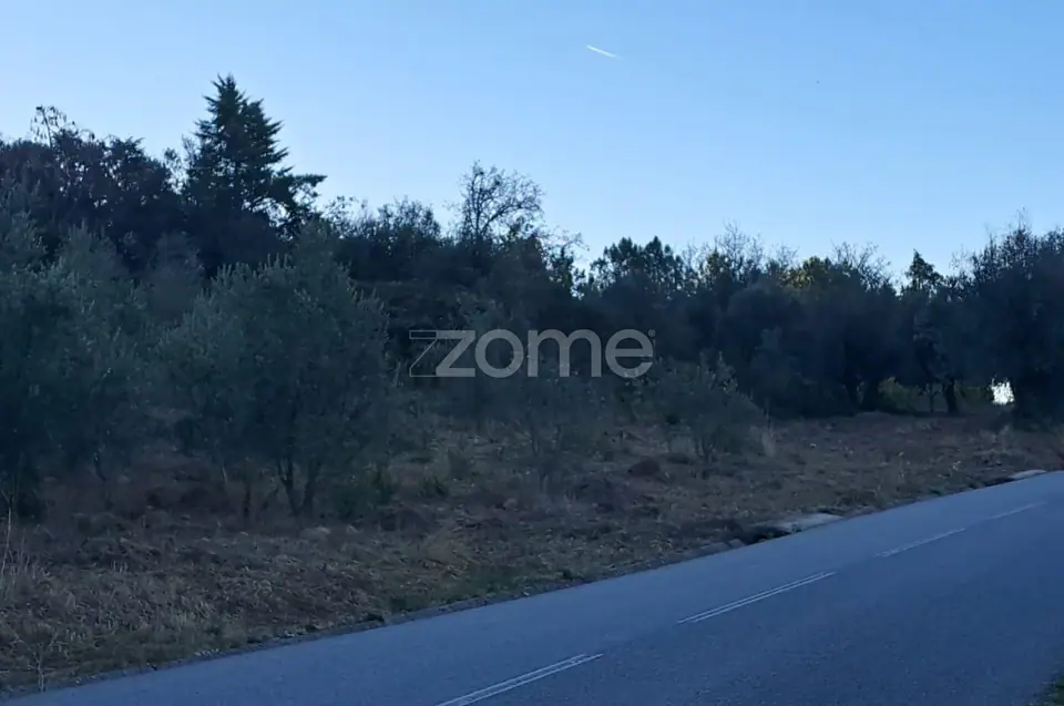 Terreno Rústico com 4.750 m² | EN110 | Almalaguês | Agrícola — imagem 7