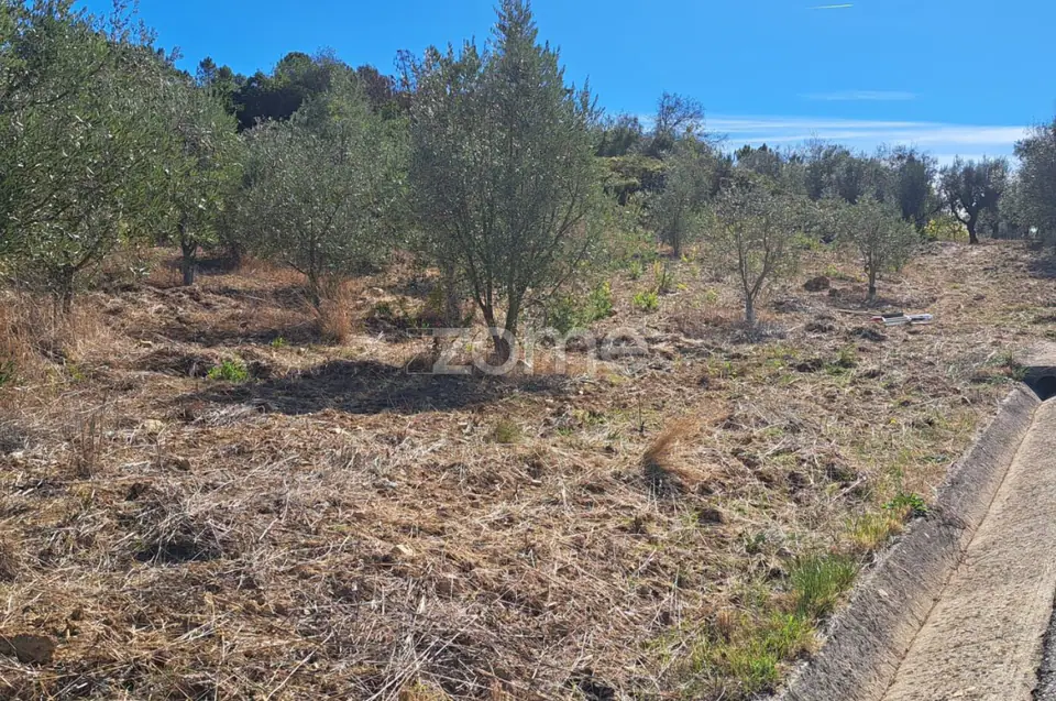 Terreno Rústico com 4.750 m² | EN110 | Almalaguês | Agrícola — imagem 1